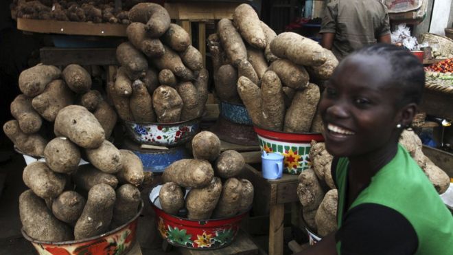 Can Nigeria’s yams power a nation?