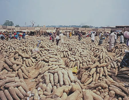 Yam farmers urged to embrace cooperative societies